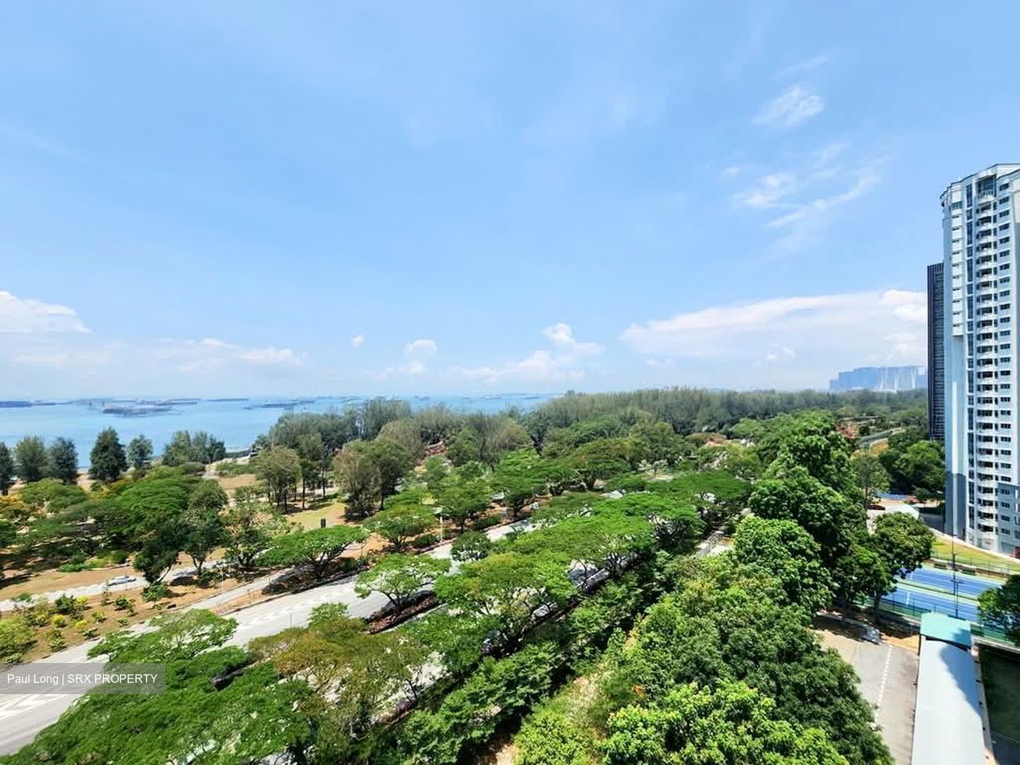 Peach Garden (D15), Apartment #584286081